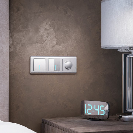 Фото Диммер без рамки Werkel cеребряный рифленый W1142009