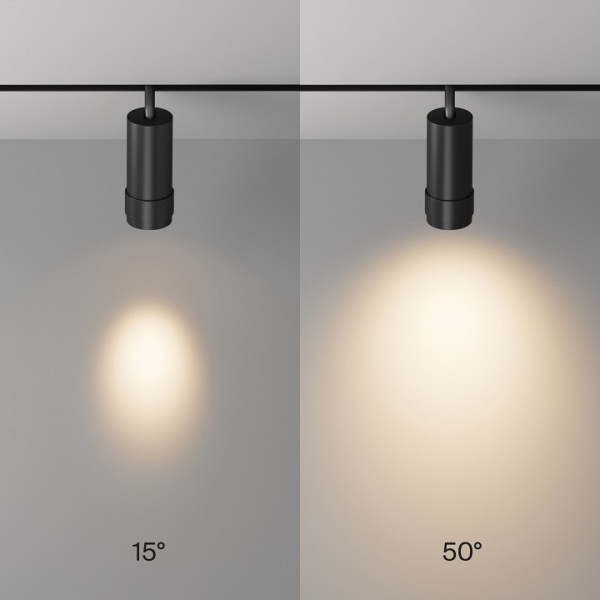 Фото Светильник на штанге Maytoni Focus Zoom TR211-1-12W2.7K-Z-B