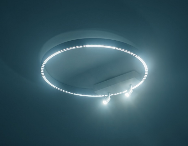 Фото Накладной светильник Ambrella Light FL FL5807