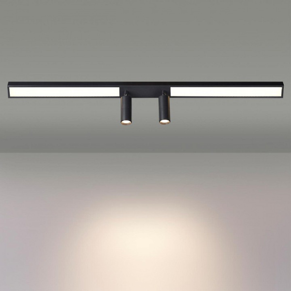 Фото Накладной светильник Lumion Ledio 5690/14CL