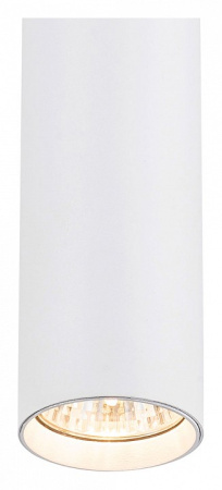 Фото Подвесной светильник Escada 20001 20001TRP/01 SWH