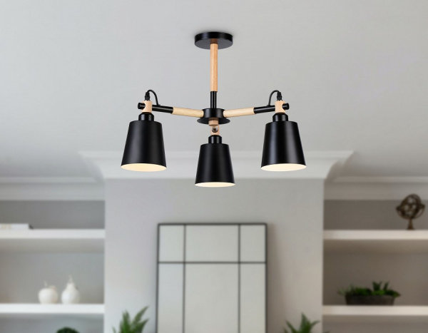 Фото Люстра на штанге Ambrella Light TR TR82206