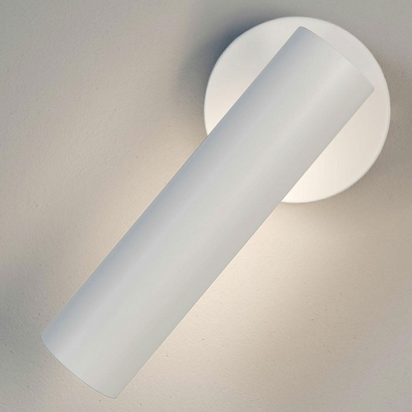 Фото Спот Eurosvet Tint 20126/1 LED белый