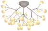Потолочная люстра EVOLUCE Avola SLE250102-36 Потолочная люстра EVOLUCE Avola SLE250102-36