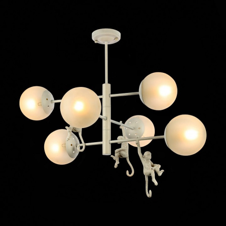 Фото Подвесная люстра EVOLUCE Tenato SLE115103-06