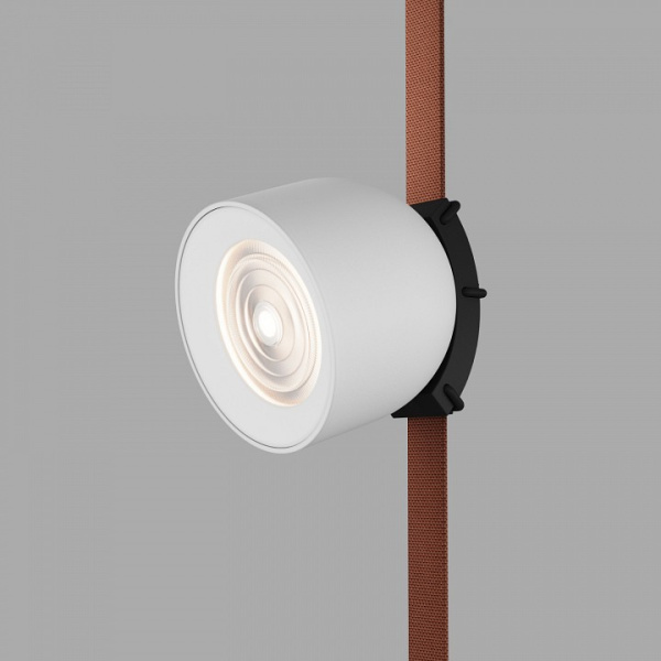 Фото Накладной светильник Denkirs BELTY SPOT DK5540-WH+BK