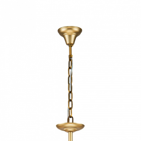 Фото Подвесная люстра Favourite Sollemnis 2621-8P