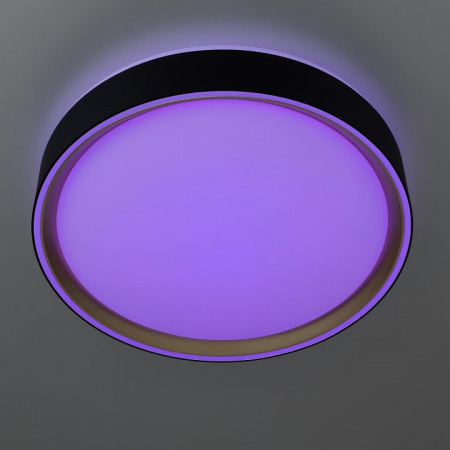 Фото Накладной светильник Citilux BOSS CL751251G