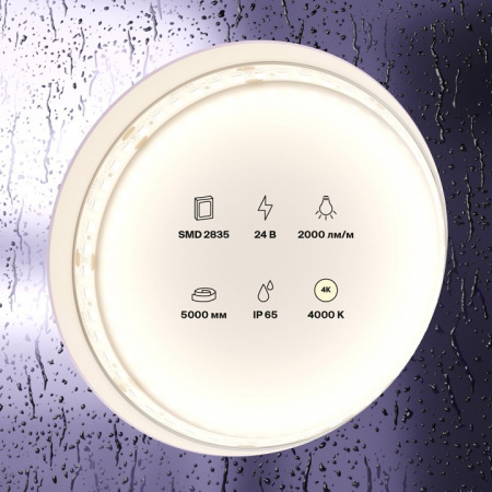 Фото Лента светодиодная Maytoni Led strip 10158