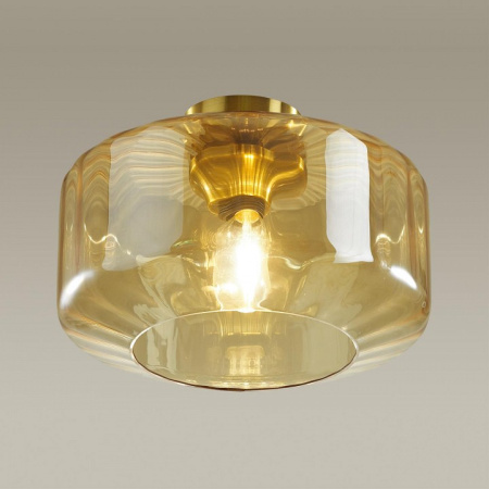 Открыть Накладной светильник Odeon Light Binga 4747/1C Фото Накладной светильник Odeon Light Binga 4747/1C