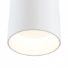 Открыть Спот Maytoni Dafne C027CL-L10W Фото Спот Maytoni Dafne C027CL-L10W