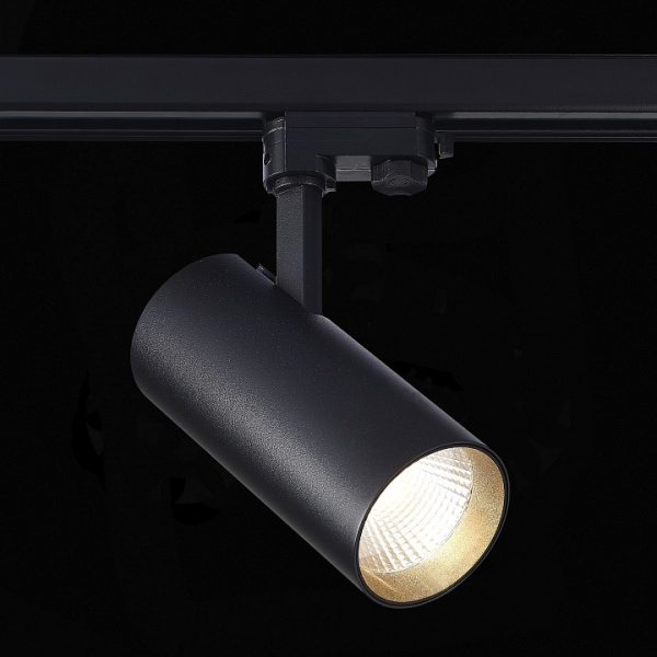 Фото Светильник на штанге ST-Luce ST661 ST661.436.40