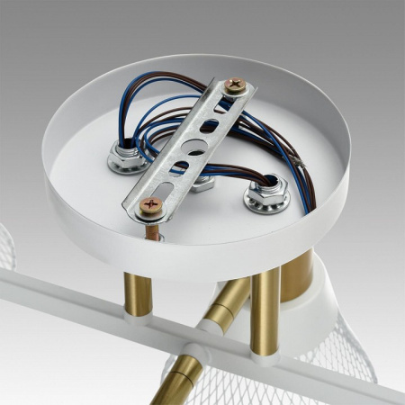 Фото Люстра на штанге Lumion Anriya 8045/6C