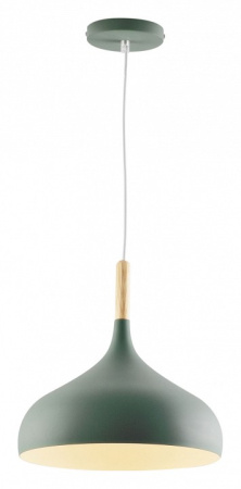 Фото Подвесной светильник Moderli Eline V1296-1P