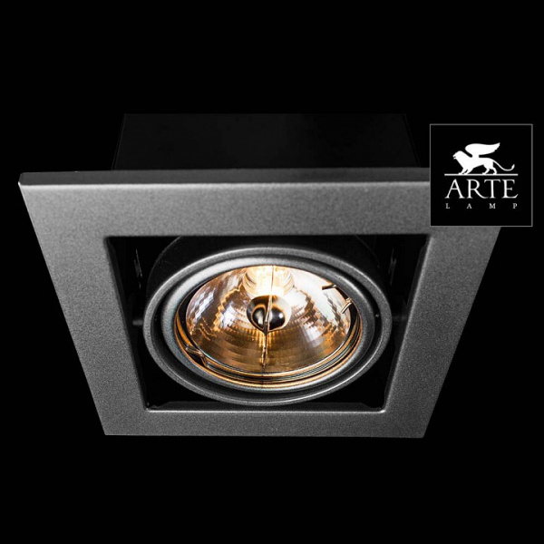 Открыть Встраиваемый светильник Arte Lamp Cardani Medio A5930PL-1SI Фото Встраиваемый светильник Arte Lamp Cardani Medio A5930PL-1SI
