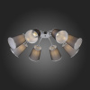 Открыть Потолочная люстра EVOLUCE Maleonte SLE103002-08 Фото Потолочная люстра EVOLUCE Maleonte SLE103002-08