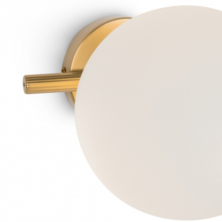 Фото Бра Freya Blossom FR5259WL-01BS