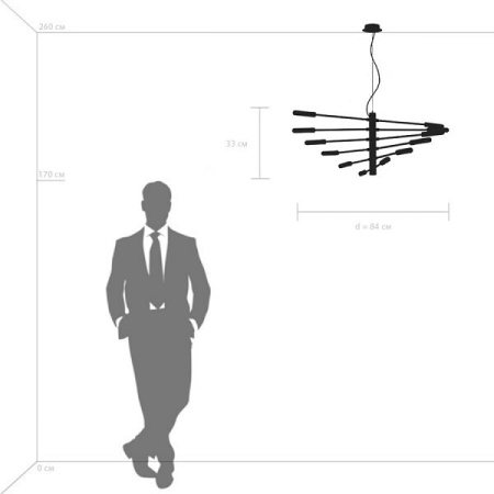 Фото Подвесная люстра Lightstar Ragno 733127