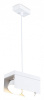 Открыть Подвесной светильник Ambrella Light TN TN70857 Фото Подвесной светильник Ambrella Light TN TN70857
