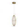 Фото Подвесной светильник Freya Sabi FR6131PL-L24BS