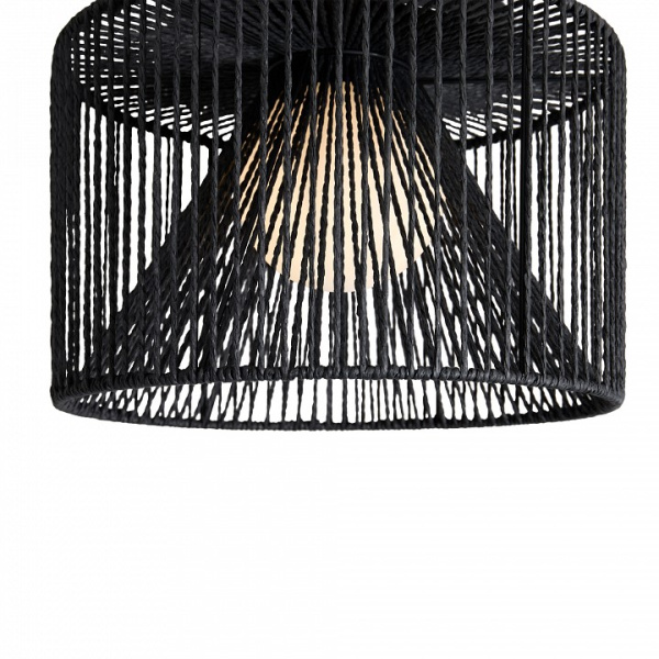 Фото Накладной светильник Freya Cottage FR5405CL-01B1