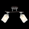 Открыть Спот Citilux Фортуна CL156122 Фото Спот Citilux Фортуна CL156122