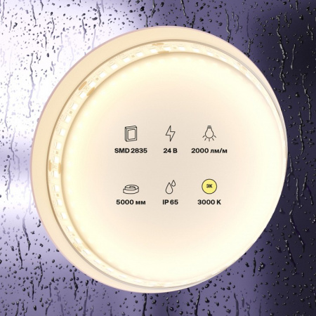 Фото Лента светодиодная Maytoni Led strip 10157