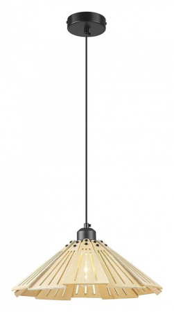 Фото Подвесной светильник Velante 529 529-716-01