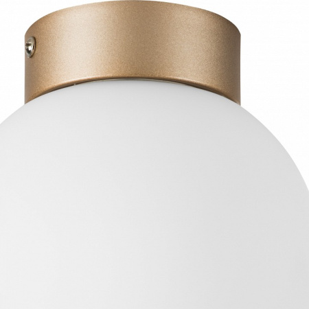 Фото Накладной светильник Lightstar Globo 812013