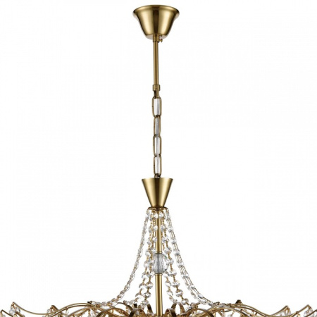 Фото Подвесная люстра Lumion Kristina 8243/8