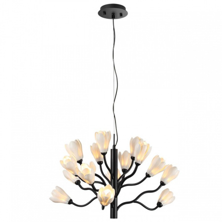 Фото Подвесная люстра Odeon Light Gardi 5090/15