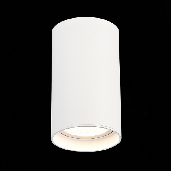 Фото Накладной светильник ST-Luce ST157 ST157.532.20