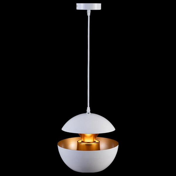 Фото Подвесной светильник Loft it Apple LOFT2213-A