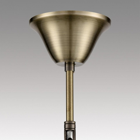 Фото Подвесная люстра Lumion Linn 8190/8