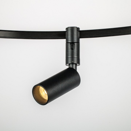 Фото Светильник на штанге Lightstar DUE 207137