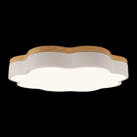 Фото Накладной светильник Loft it Axel 10225/36 White