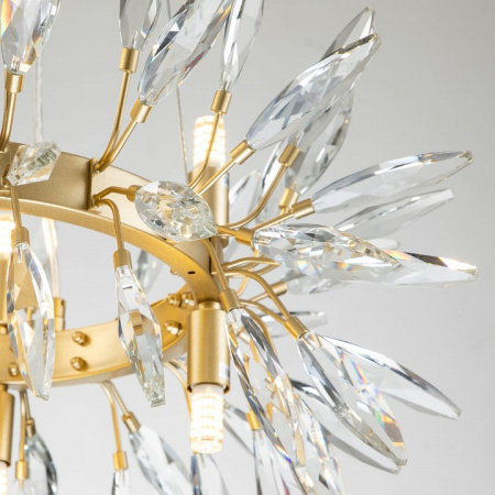 Фото Подвесная люстра Favourite Rays 4058-8P