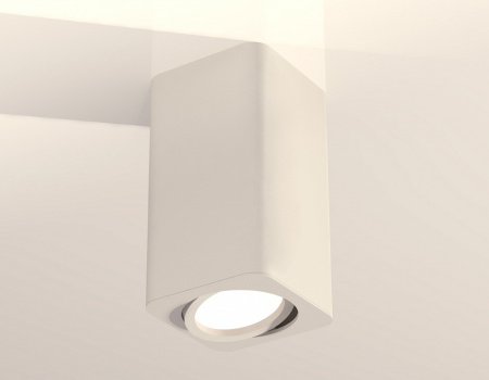 Фото Накладной светильник Ambrella Light XS XS7820010