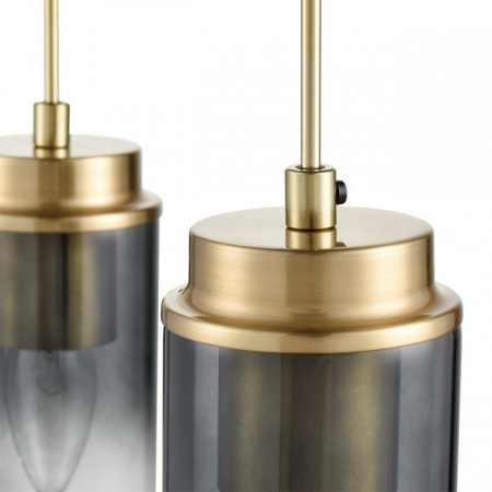 Фото Подвесной светильник Lumion Isha 8101/3A