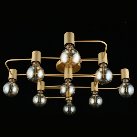 Фото Потолочная люстра Aployt Elison APL.911.07.09