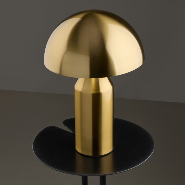 Фото Подвесной светильник Freya Eleon FR5218TL-01BS