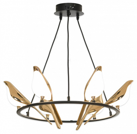 Фото Подвесная люстра Lussole Jasper LSP-8641