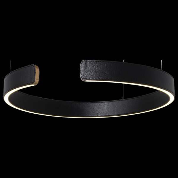Фото Подвесной светильник Loft it Ring 10025/400 Black