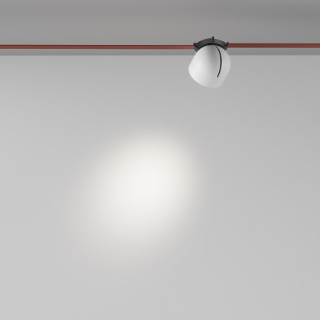 Фото Накладной светильник Maytoni Cup TR124B-12W4K-M-W