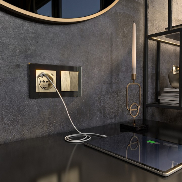 Фото Розетка с заземлением и со шторками и USB, без рамки Werkel шампань рифленый W1171710