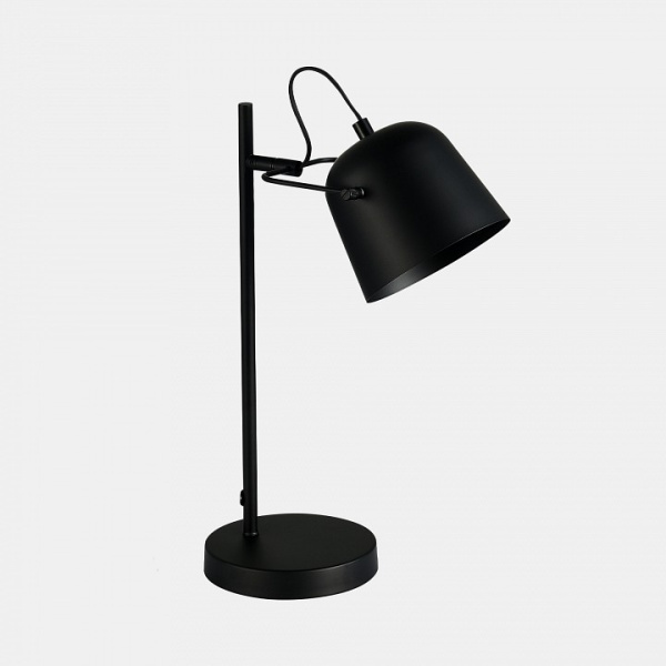 Фото Настольная лампа офисная EVOLUCE Blank SLE1805-404-01