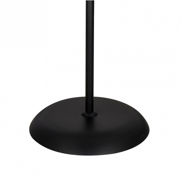 Фото Торшер с подсветкой Arte Lamp Duetto A9569PN-2BK