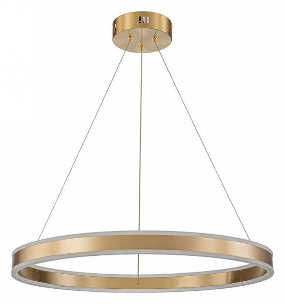 Открыть Подвесной светильник Indigo Perfetto 14012/1P Brass Фото Подвесной светильник Indigo Perfetto 14012/1P Brass