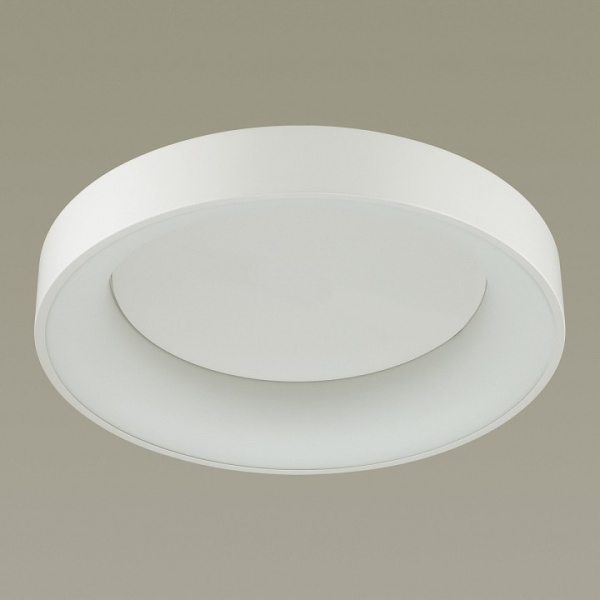 Фото Накладной светильник Odeon Light Sole 4062/50CL