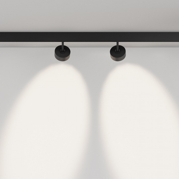 Фото Светильник на штанге Maytoni Lens TR217-2-15W4K-B